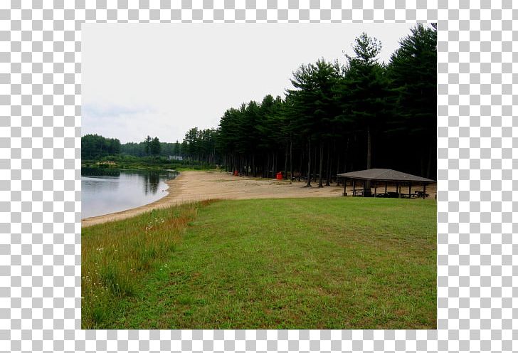 Water Resources Lawn Pond Property Land Lot PNG, Clipart, Bayou, Estate, Golf Club, Grass, Inlet Free PNG Download