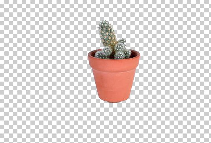 Cactaceae Flowerpot Icon PNG, Clipart, Cactaceae, Cactus, Ceramic, Clay, Collection Free PNG Download
