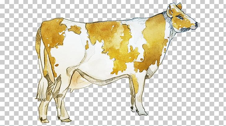 Dairy Cattle Ox Bull PNG, Clipart, Animal, Animal Figure, Animals, Bull, Cattle Free PNG Download