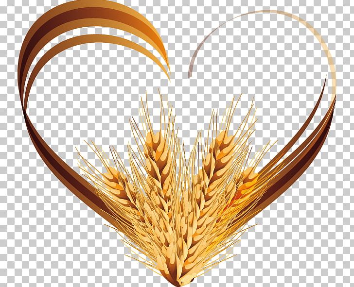 Wheat PNG, Clipart, Cereal, Cereal Germ, Commodity, Computer Software, Download Free PNG Download