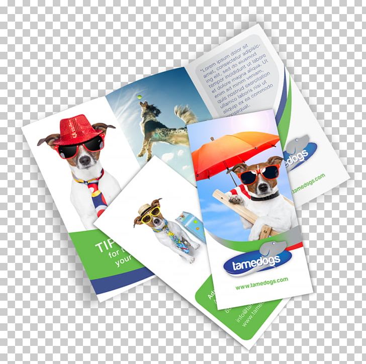 Mockup Brochure Graphic Design Printing PNG, Clipart, Advertising, Brand, Brochure, Business, Digital Printing Free PNG Download
