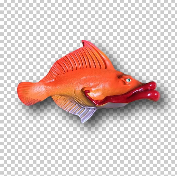 Northern Red Snapper PNG, Clipart, Fish, Northern Red Snapper, Orange, Others, Red Free PNG Download