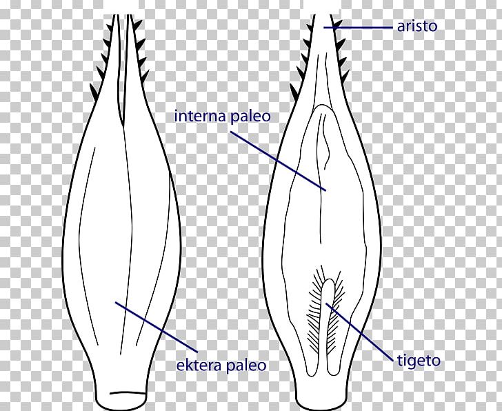 Thumb Finger Joint PNG, Clipart, Ajna, Angle, Area, Arm, Diagram Free PNG Download