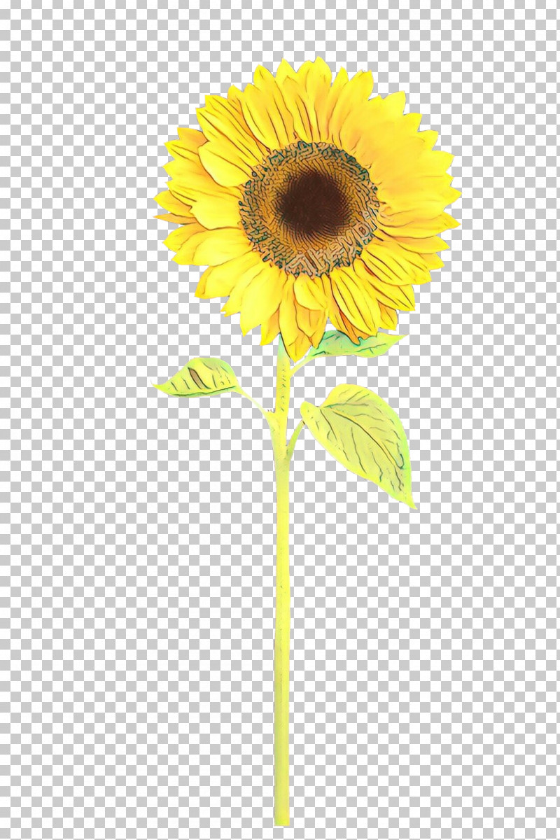 Sunflower PNG, Clipart, Cut Flowers, Flower, Gerbera, Petal, Plant Free PNG Download