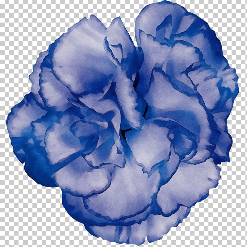 Blue Rose PNG, Clipart, Blue, Blue Rose, Cut Flowers, Flower, Paint Free PNG Download