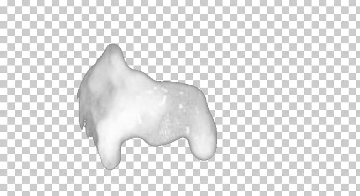 Canidae Tooth Dog White Ear PNG, Clipart, Animals, Black And White, Canidae, Carnivoran, Cum Free PNG Download