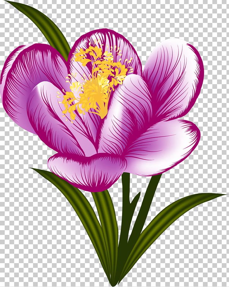 Flower Floral Design Petal PNG, Clipart, Crocus, Cut Flowers, Floral Design, Flower, Flowering Plant Free PNG Download