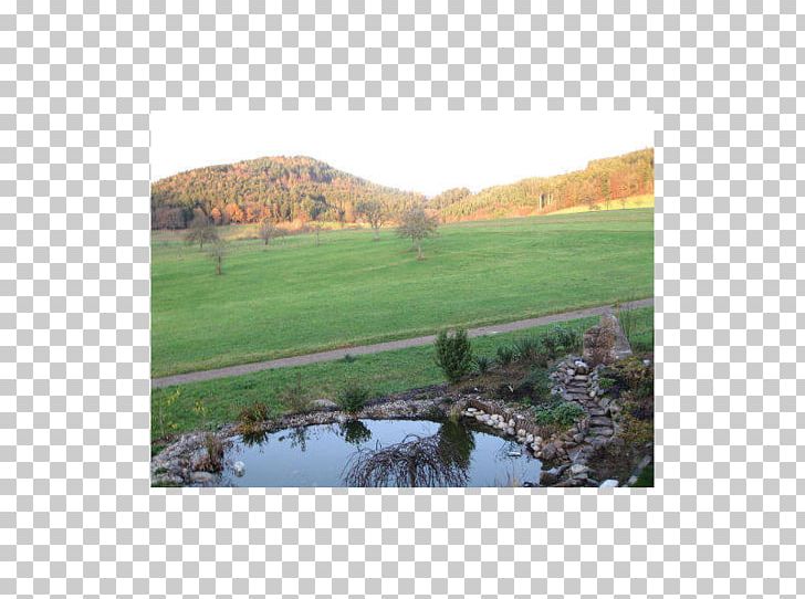 Property Land Lot Water Resources Reservoir Pasture PNG, Clipart, Bank, Farm, Field, Grass, Grass Family Free PNG Download
