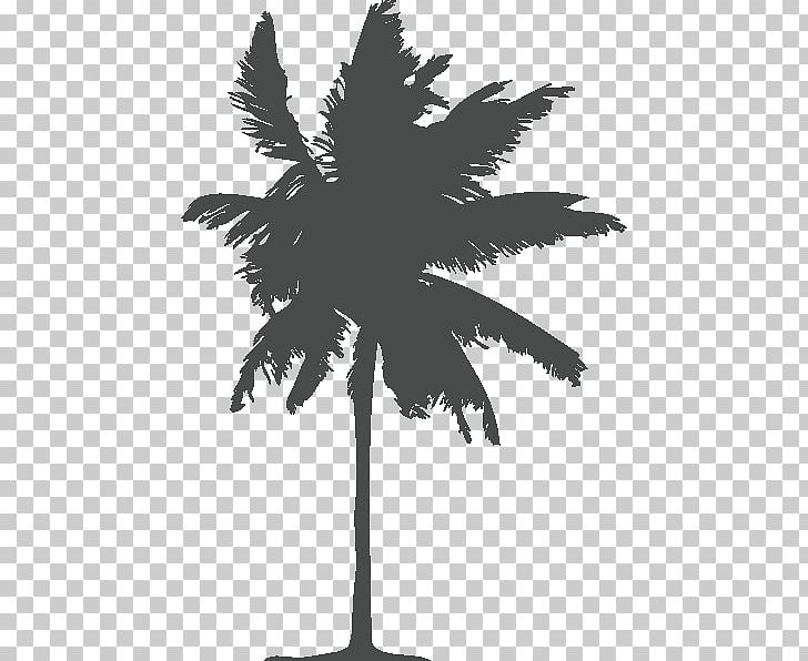 Ureki Beach Hotel Campsite Brevard County PNG, Clipart, Accommodation, Arecales, Beach, Black And White, Borassus Flabellifer Free PNG Download