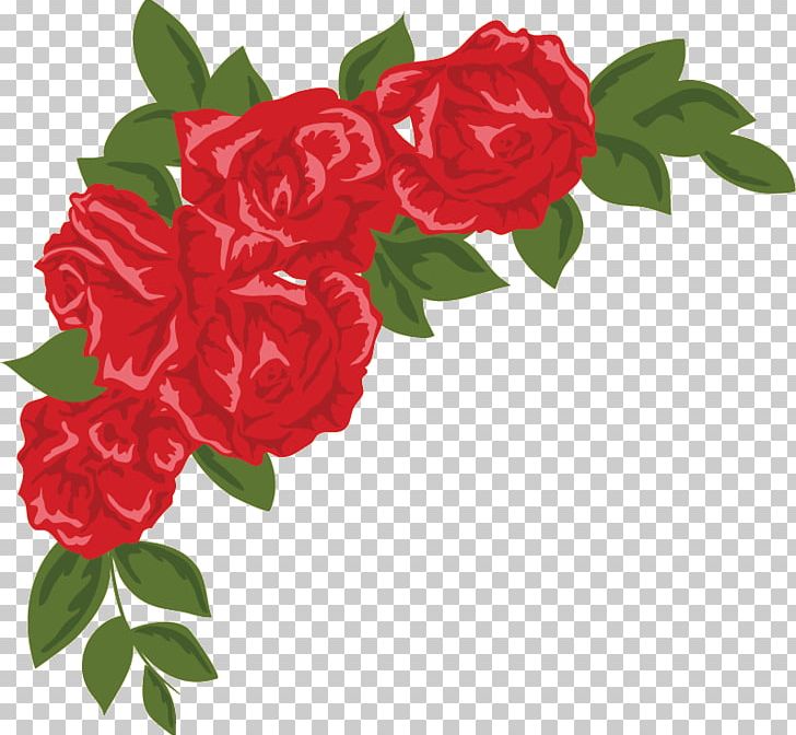 Garden Roses Drawing Cabbage Rose Floribunda PNG, Clipart, Beach Rose, Cabbage, Camellia, Carnation, Cartoon Free PNG Download