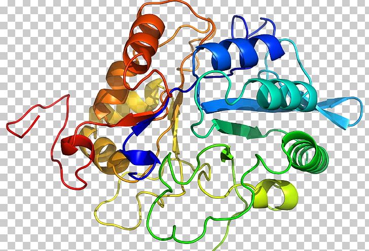 KLK6 Kallikrein Gene Protease Heat Shock Protein PNG, Clipart, 200, Area, B 7, Cancer, Crystal Free PNG Download
