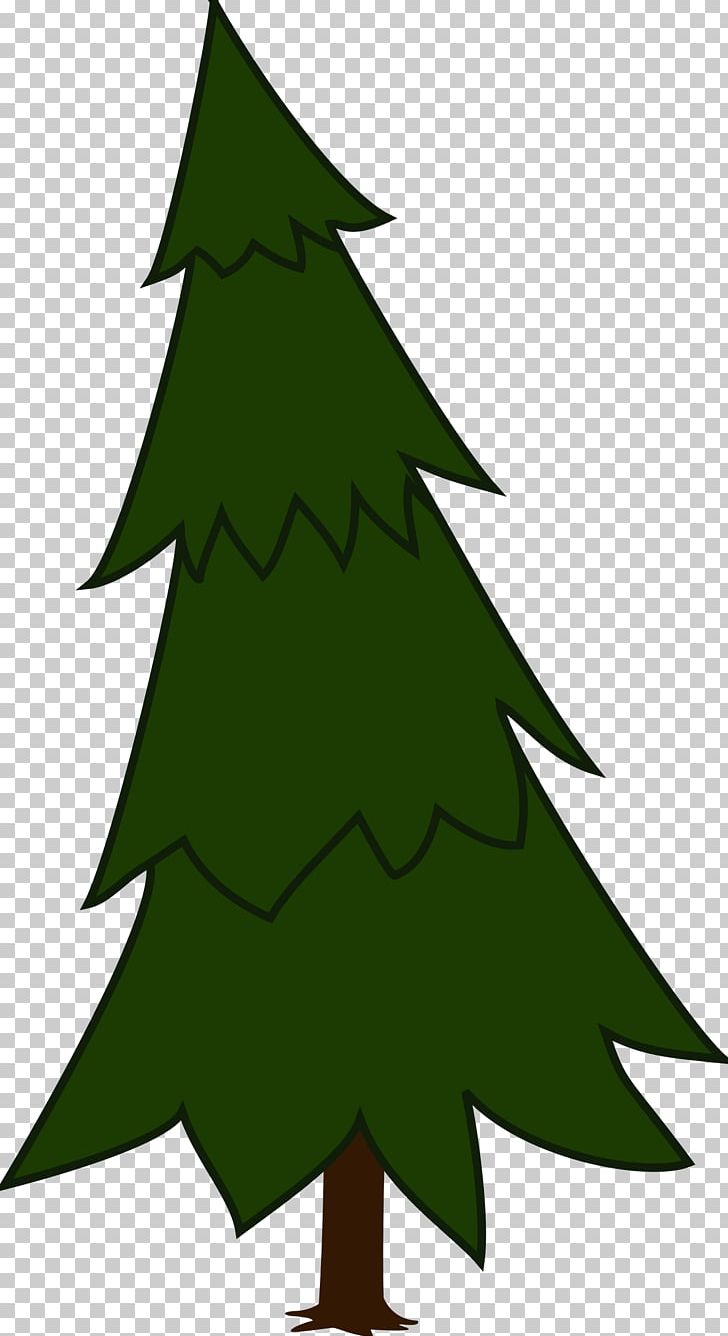 Pine Tree Spruce Conifers PNG, Clipart, Beak, Bird, Black Pine, Branch, Christmas Free PNG Download