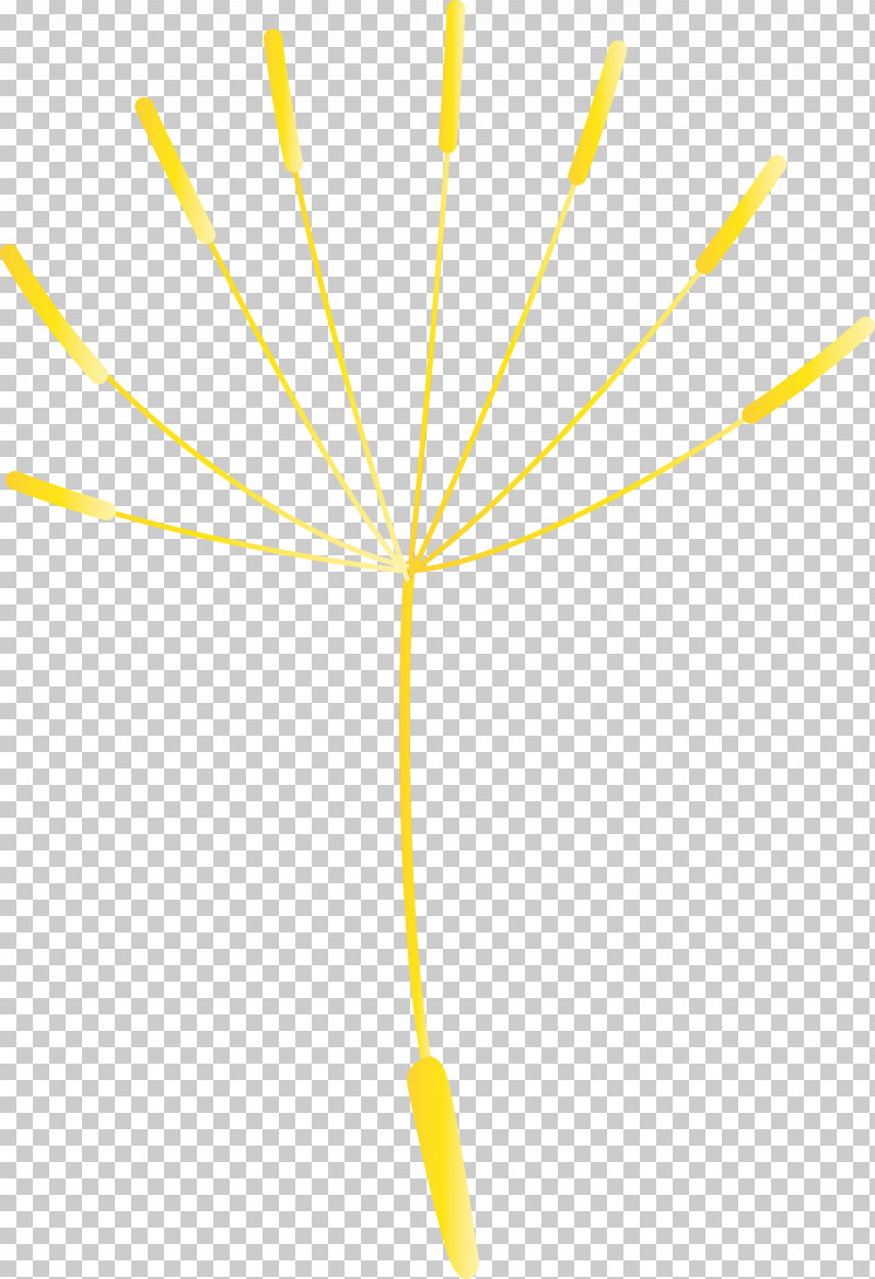 Leaf Plant Stem Yellow Tree Meter PNG, Clipart, Biology, Dandelion, Flower, Leaf, Line Free PNG Download