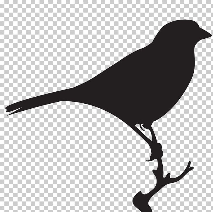 Bird House Sparrow American Crow American Sparrows PNG, Clipart, All About Birds, American Crow, American Sparrow, American Sparrows, Animals Free PNG Download
