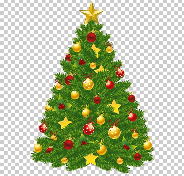 Christmas Christmas Tree Christmas Ornament PNG, Clipart, Christmas, Christmas Decoration, Christmas Ornament, Christmas Tree, Computer Icons Free PNG Download