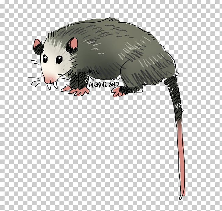 Common Opossum Snout Whiskers Computer Mouse PNG, Clipart, Common Opossum, Computer Mouse, Electronics, Fang, Fauna Free PNG Download