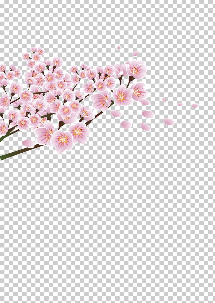 Flower Peach PNG, Clipart, Blossom, Cherry Blossom, Christmas Decoration, Corner, Decor Free PNG Download