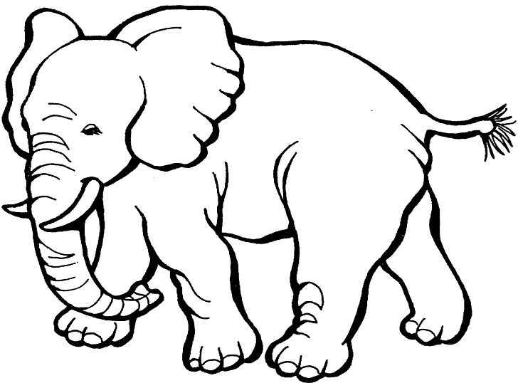 Coloring Book Elephant Child Page PNG, Clipart, Adult, African Elephant, Animal, Animal Figure, Black And White Free PNG Download