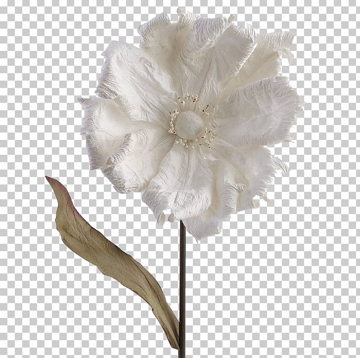 Cut Flowers Rosaceae Rose Flower Bouquet PNG, Clipart, Ceremony, Clothing Accessories, Cut Flowers, Family, Flower Free PNG Download