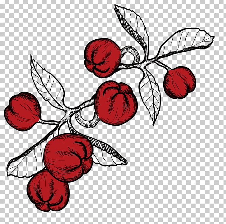 Frutti Di Bosco Fruit Heart PNG, Clipart, Art, Beach Rose, Berries, Berry, Black And White Free PNG Download
