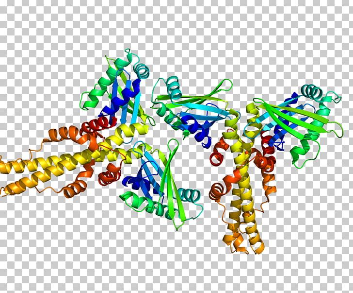 Non-homologous End-joining Factor 1 Non-homologous End Joining Homology DNA Repair Protein XRCC4 PNG, Clipart, Area, Art, Dna, Dna Repair, Factor Free PNG Download
