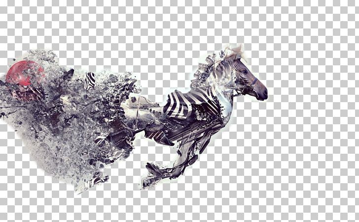 Zebra High-definition Television Display Resolution PNG, Clipart, Abstract Art, Animal, Animals, Apple, Art Free PNG Download