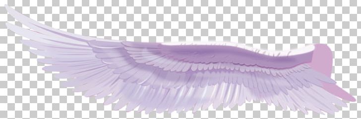 Feather Purple Eyelash PNG, Clipart, Angel Wing, Angel Wings, Chicken Wings, Eagle Wings, Eyelash Free PNG Download