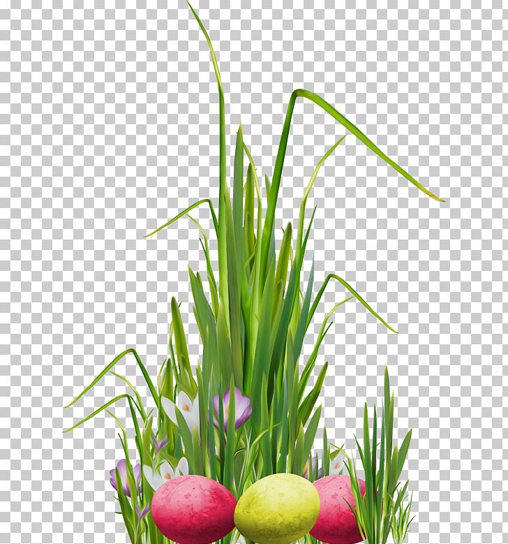 Flower Herbaceous Plant Lawn PNG, Clipart, Aquarium Decor, Easter, Easter Egg, Flower, Grass Free PNG Download