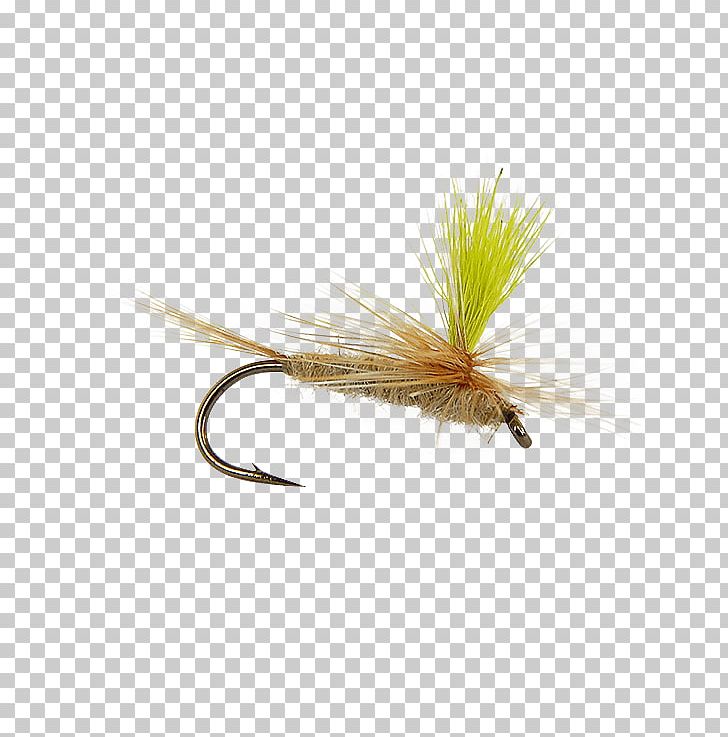 Insect Artificial Fly PNG, Clipart, Artificial Fly, Fishing Bait, Fly, Fly Tying, Insect Free PNG Download