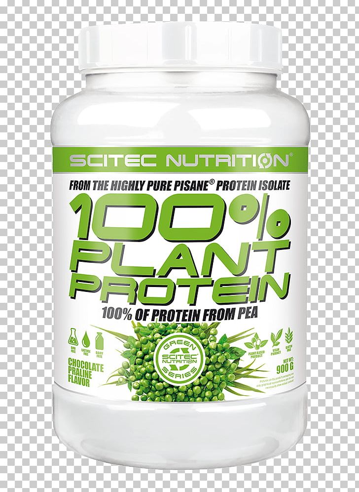 Praline Whey Protein Isolate Pea Protein Nutrition PNG, Clipart, Bodybuilding Supplement, Chocolate, Creatine, Food Drinks, Grass Free PNG Download