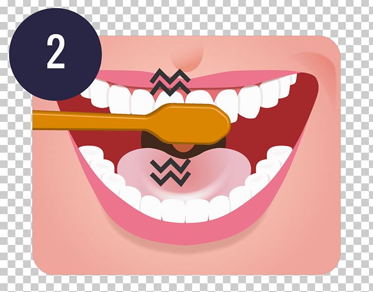 Tooth Brushing Teeth Cleaning Dentistry Oral Hygiene PNG, Clipart, Brush, Brushing Teeth, Cuisine, Dental Extraction, Dental Floss Free PNG Download