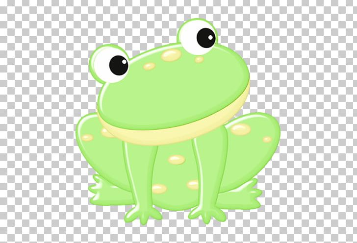 True Frog Edible Frog Tree Frog PNG, Clipart, Amphibian, Animals, Cartoon, Clip Art, Cute Frog Free PNG Download