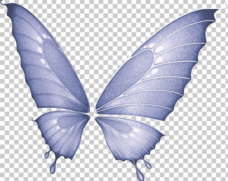 Butterfly Fairy PNG, Clipart, Aile, Angel, Animated Film, Blue, Bombycidae Free PNG Download