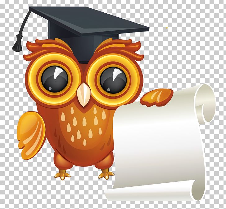 Diploma Graduation Ceremony PNG, Clipart, Art, Beak, Bird, Bird Of Prey, Cartoon Free PNG Download