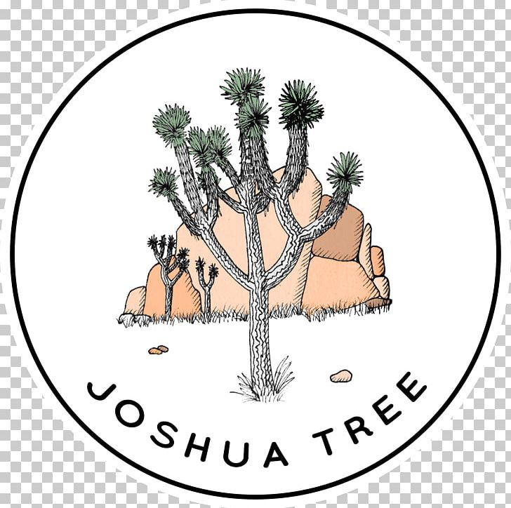 Joshua Tree National Park Drawing Line Art PNG, Clipart, Area, Art, Branch, Christmas Ornament, Christmas Tree Free PNG Download