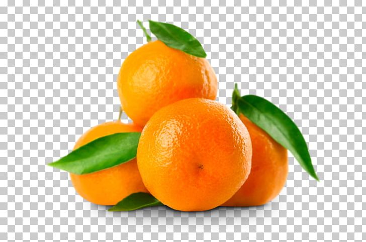 Mandarin Orange Clementine Fruit Citrus × Sinensis Rutaceae PNG, Clipart, Bitter Orange, Calamondin, Chenpi, Citreae, Citric Acid Free PNG Download