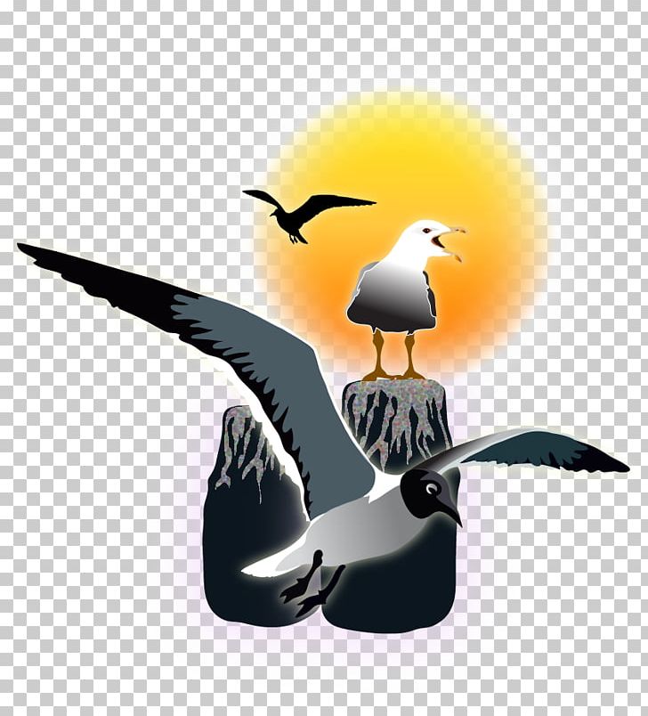 Beak Seabird Water Bird PNG, Clipart, Animals, Beak, Bird, Gull, Logo Free PNG Download