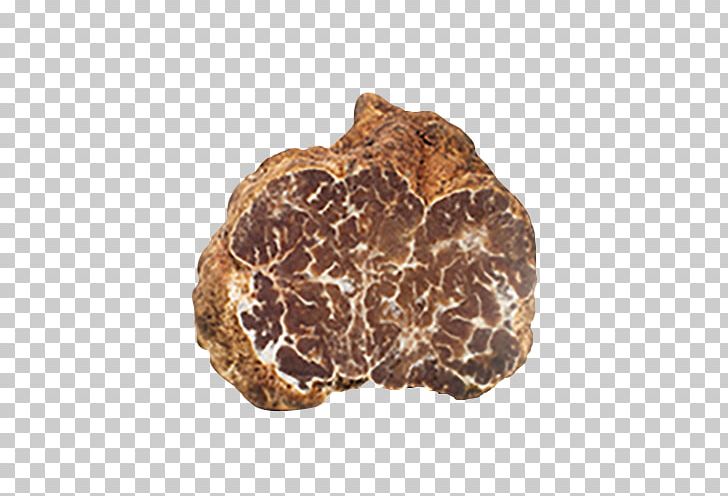Périgord Black Truffle Piedmont White Truffle Alba La Truffe PNG, Clipart, Alba, Edible Mushroom, English Oak, Food, Ingredient Free PNG Download