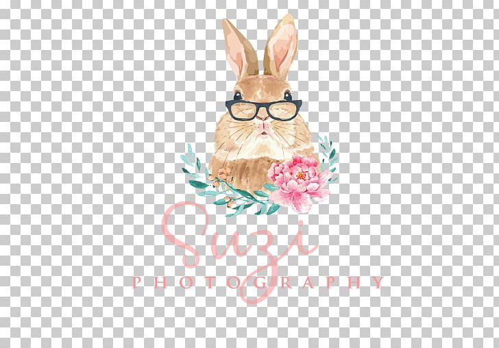 Rabbit Easter Bunny Photographer Wedding Photography PNG, Clipart, 999, Animals, Curator, Easter, Easter Bunny Free PNG Download