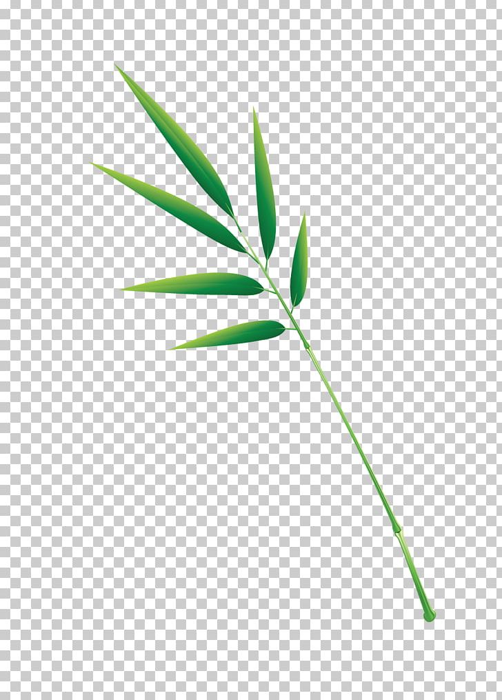Zongzi Leaf PNG, Clipart, Albom, Angle, Art, Bamboe, Bamboo Free PNG Download
