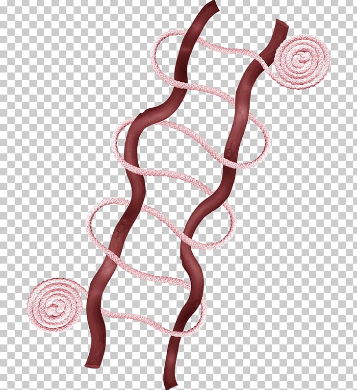 Pink Rope PNG, Clipart, Cartoon Rope, Color, Jump Rope, Line, Organ Free PNG Download
