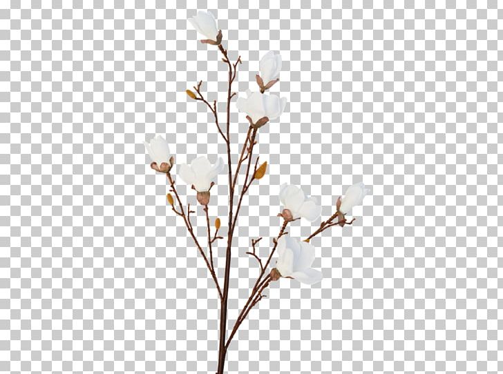 Twig Cherry Blossom Flower Spring PNG, Clipart, Blossom, Branch, Cherry, Cherry Blossom, Cut Flowers Free PNG Download