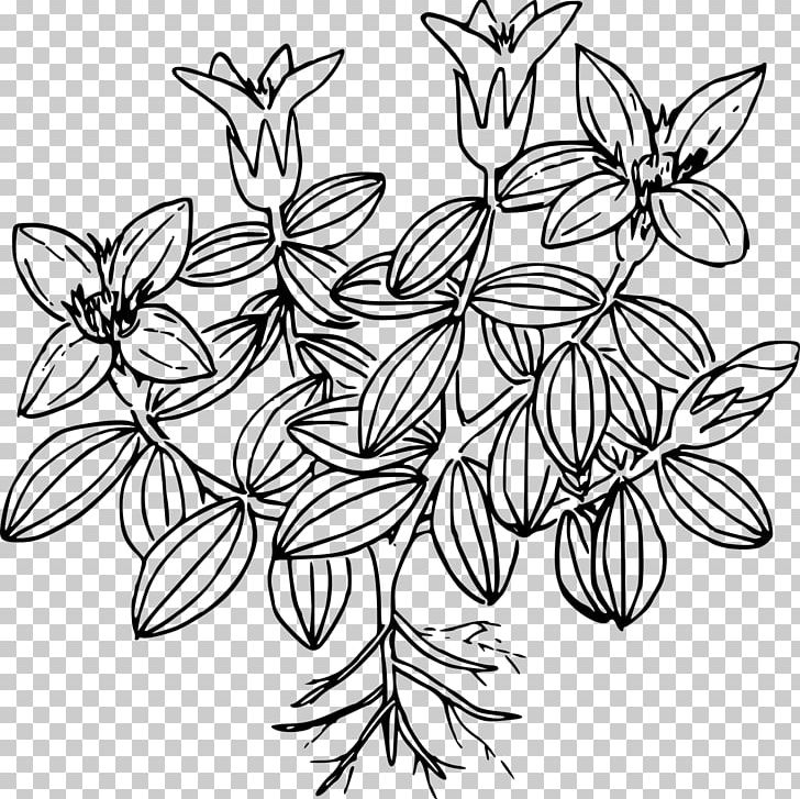 Drawing Line Art PNG, Clipart, Artwork, Black And White, Branch, Cartoon, Cizimler Free PNG Download