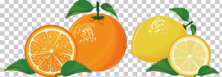 Lemon Mandarin Orange Lime Tangelo PNG, Clipart, Bitter Orange, Citric Acid, Citron, Citrus, Food Free PNG Download