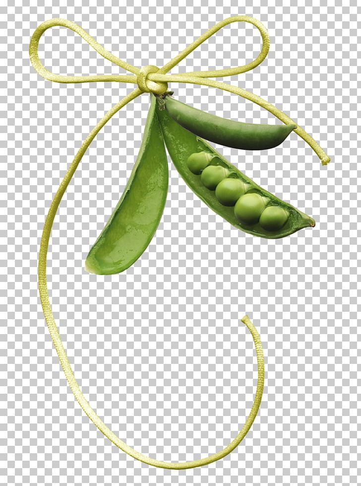 Pea PNG, Clipart, Bow, Bowknot, Bow Tie, Common Bean, Common Sunflower Free PNG Download