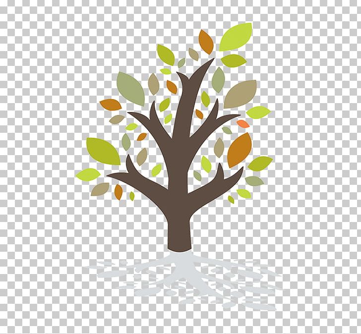 Twig Nassau County Council On Aging The Decision Tree Of Aging Old Age PNG, Clipart, Ageing, Aging, Branch, Council, County Free PNG Download