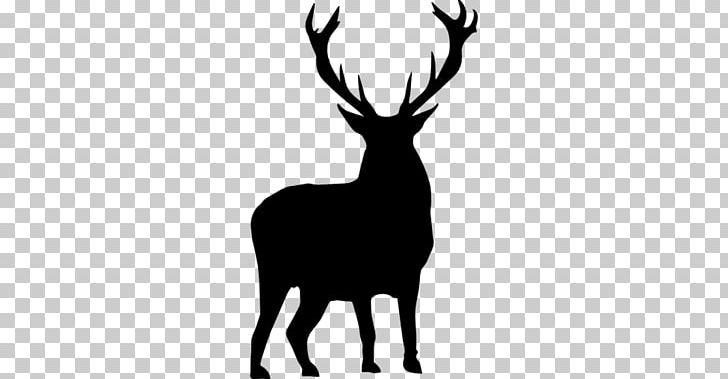 White-tailed Deer Moose Silhouette PNG, Clipart, Animal, Animals, Antelope, Antler, Arm Free PNG Download