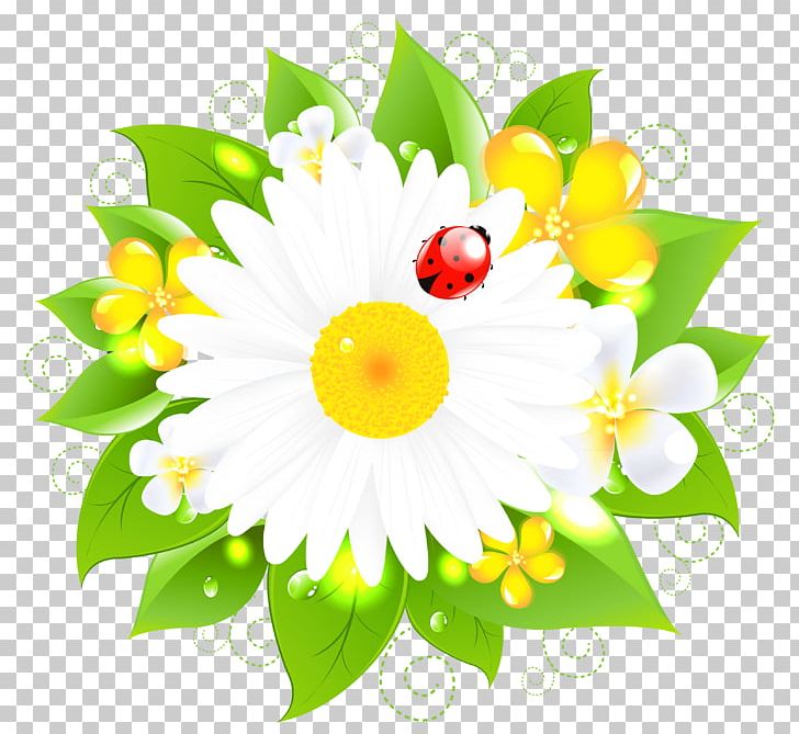 Flower Stock Photography PNG, Clipart, Age, Child, Chrysanths, Circle, Clipart Free PNG Download