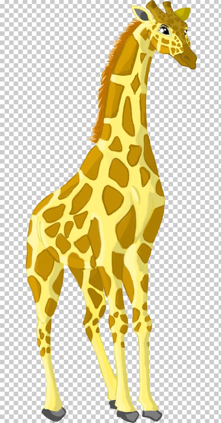 Giraffe Neck Terrestrial Animal Wildlife PNG, Clipart, Animal, Animal Figure, Animals, Fauna, Giraffe Free PNG Download