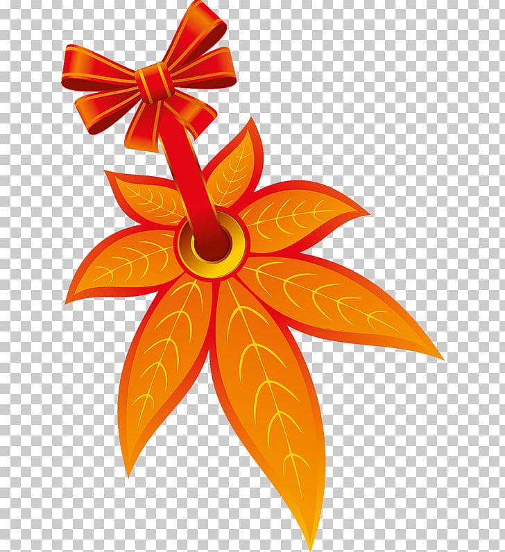 Maple Leaf Яндекс.Фотки PNG, Clipart, Cut Flowers, Download, Encapsulated Postscript, Flower, Flowering Plant Free PNG Download